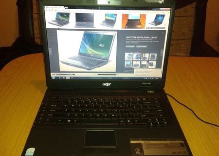 acer extensa