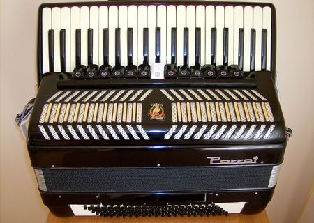 acordeon Parrot