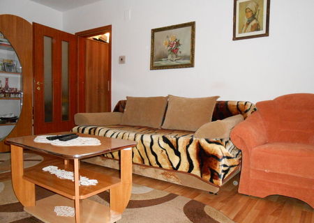 Apartament 2 camere, 45mp, Aradului- renovat, mobilat si utilat!