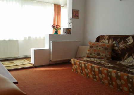 Apartament 2 camere Zizinului