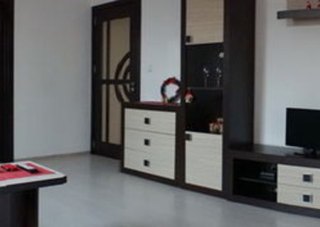 APARTAMENT DE LUX IN REGIM HOTELIER