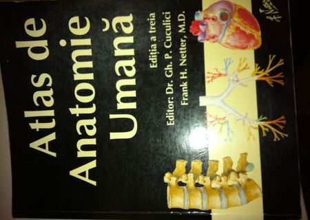 Atlas de Anatomie Umana Frank Netter