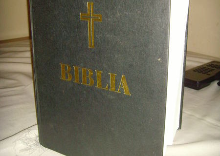 Biblie ortodoxa ideala pentru studiu biblic, editia 2001