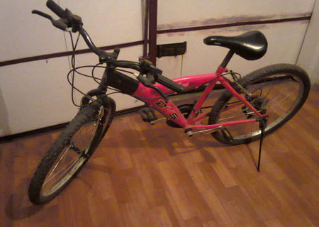 Bicicleta Copii