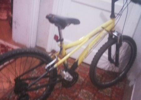 Bicicleta Cross