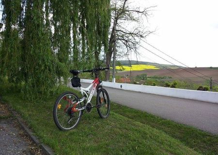 Bicicleta Cyco C24