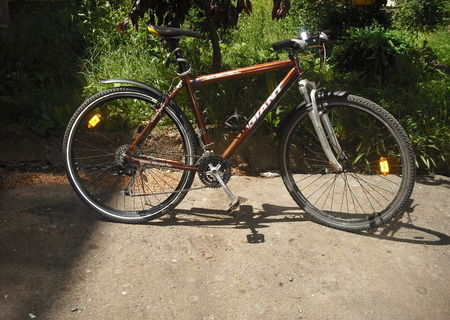 Bicicleta Giant EXPEDITION