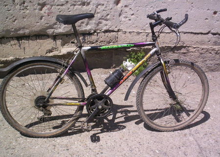 Bicicleta Pegas cu 12vvteze