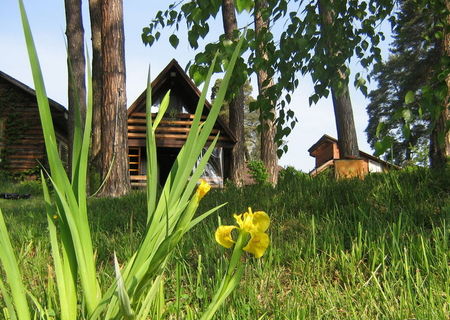 Cabana de vacanta la lacul cu nuferi