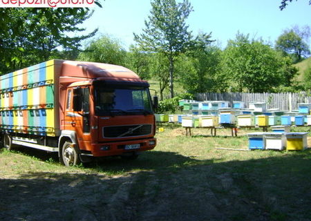 Camion volvo fl6l omologat RAR 72 stupi