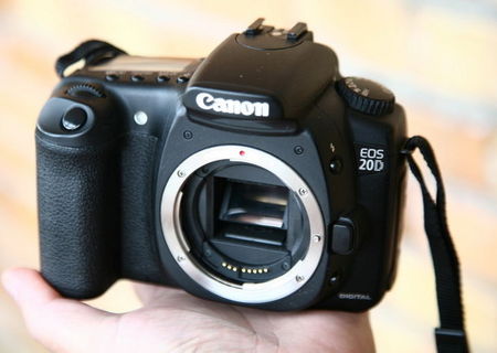 canon 20D body