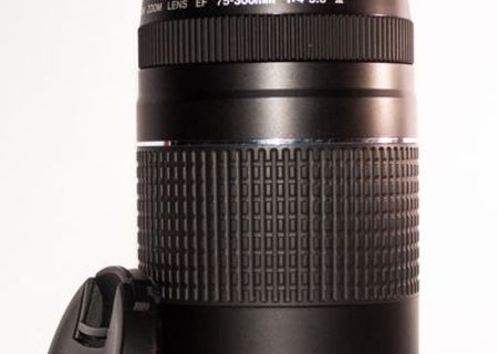 Canon EF 75- 300mm f/ 4- 5. 6 III