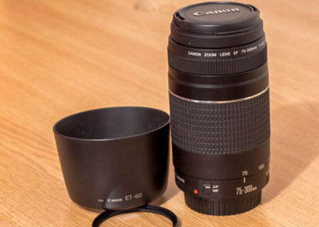 Canon EF 75- 300mm III f/ 4- 5. 6