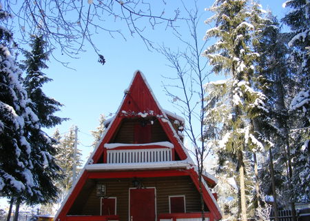 CASA DE VACANTA IZVORU MURES