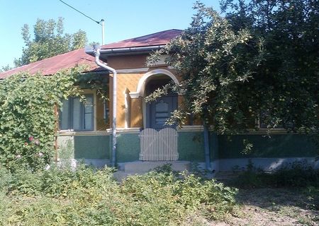 Casa de vanzare(5 camere), 5000mp, comuna Axintele(la 25km de Urziceni, 60km de Bucuresti)