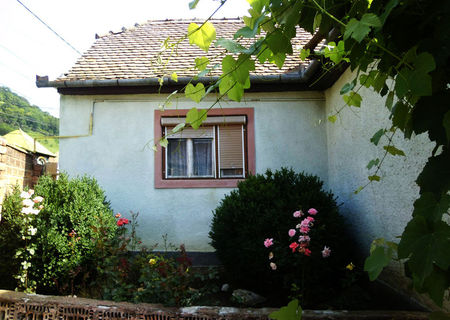 Casa de vanzare in Sighisora