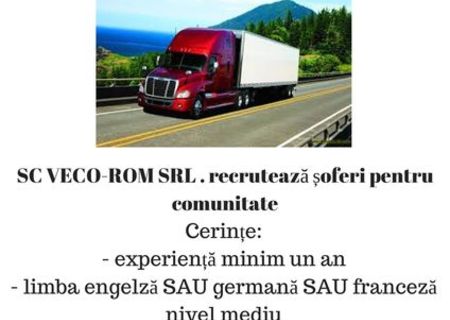 Cautam soferi de TIR - comunitate