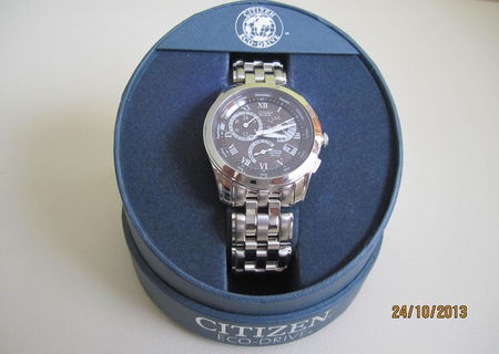 Citizen Eco Drive Perpetua Calendar