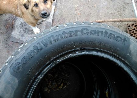 Continental ContiWinterContact 205/65 R15