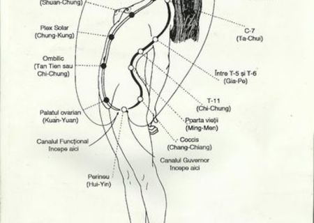 Cultivarea energiei sexuale feminine de Mantak Chia