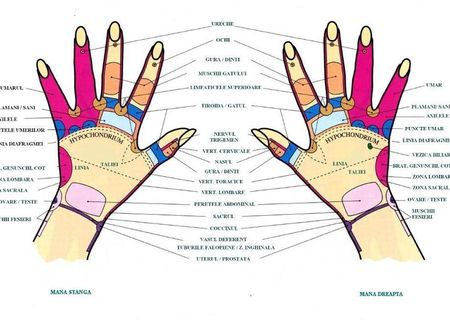 curs de masaj si reflexoterapie