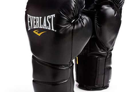 Everlast Boxing Gloves