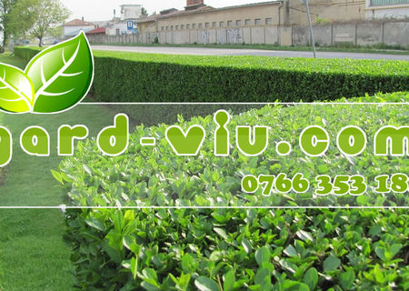 GARD VIU direct de la producator