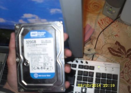 Hard Disk WD Caviar Blue 3200AAKS 320GB