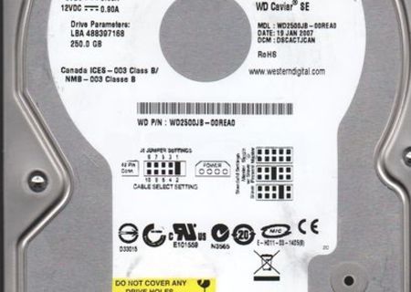 HDD Western Digital WD2500JB 250GB