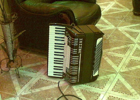 hohner electravox