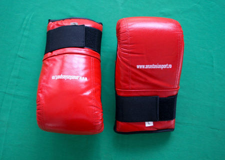 Manusi de sac/kick-box AnastasiaSport