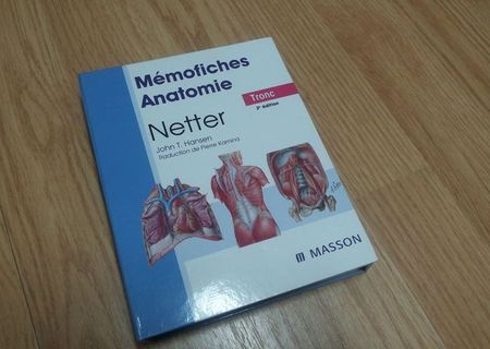 Memofiches Netter Anatomy - NOUA