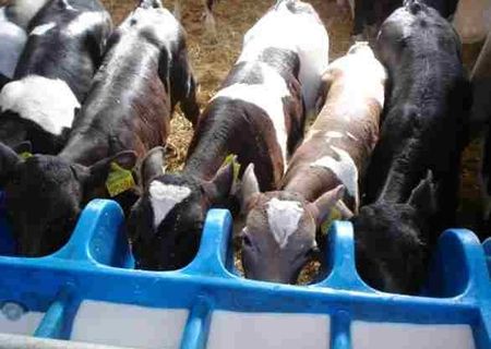 Munca necalificata la ferme in Austria