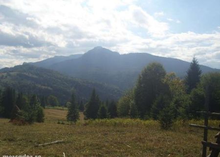 OFERTĂ UNICĂ...Ofer la schimb trei parcele de teren zona Ceahlău