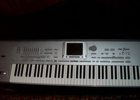 orga korg pa x 1