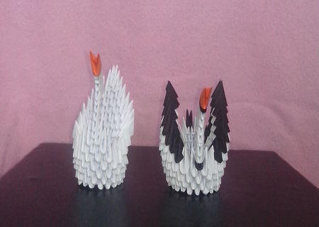 ORIGAMI 3D (marturi)