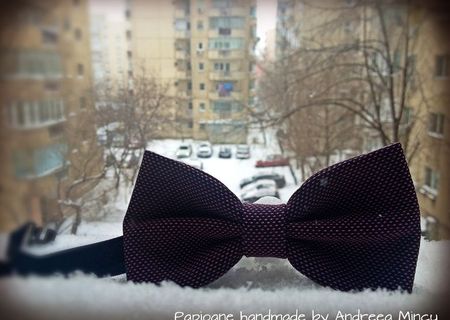 Papion handmade Winter Mov