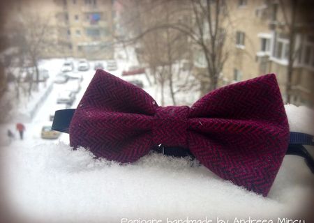 Papion handmade Winter Siclam