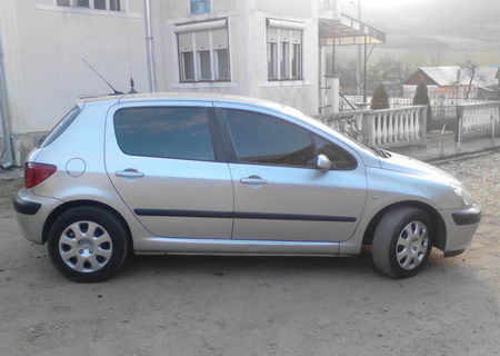 peugeot 307 variante