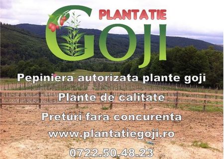 Plante goji de calitate livrate cu certificat de calitate si factura