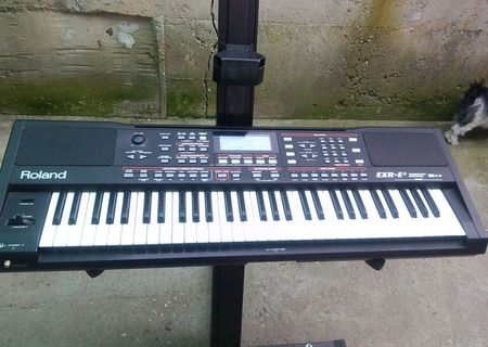 ROLAND EXR E2