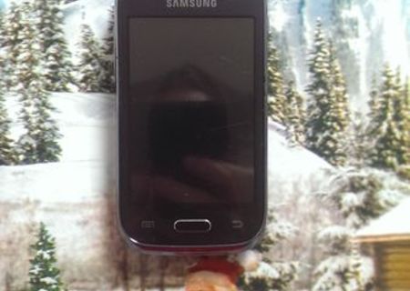 Samsung Galaxy Young S6310