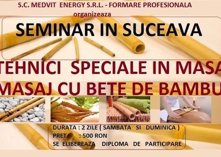 Seminar Masaj cu bete de bambus