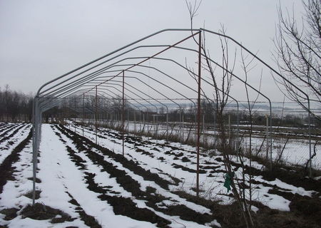 Solar legume teava zincata