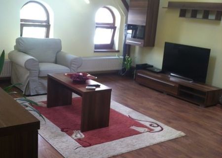 Stirbei Voda - Berzei , apartament in vila