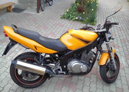 SUZUKI GS500F