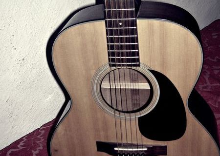 Takamine G220