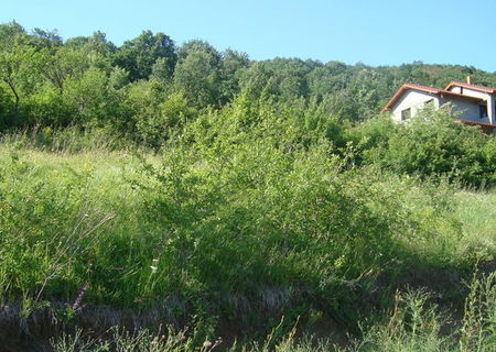 TEREN CU BELVEDERE