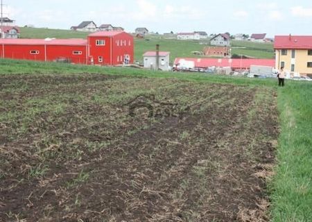 Teren de vanzare Scheia vis a vis de Rulmentu langa depozitul Kalman