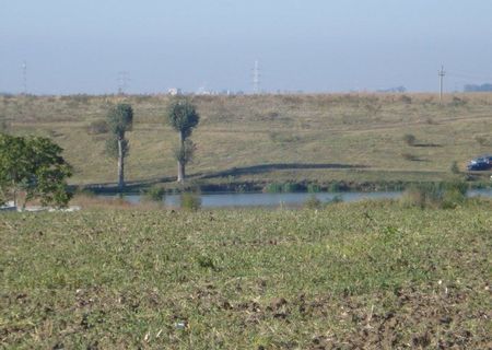 teren intravilan - 5 km de la Doraly-Afumati